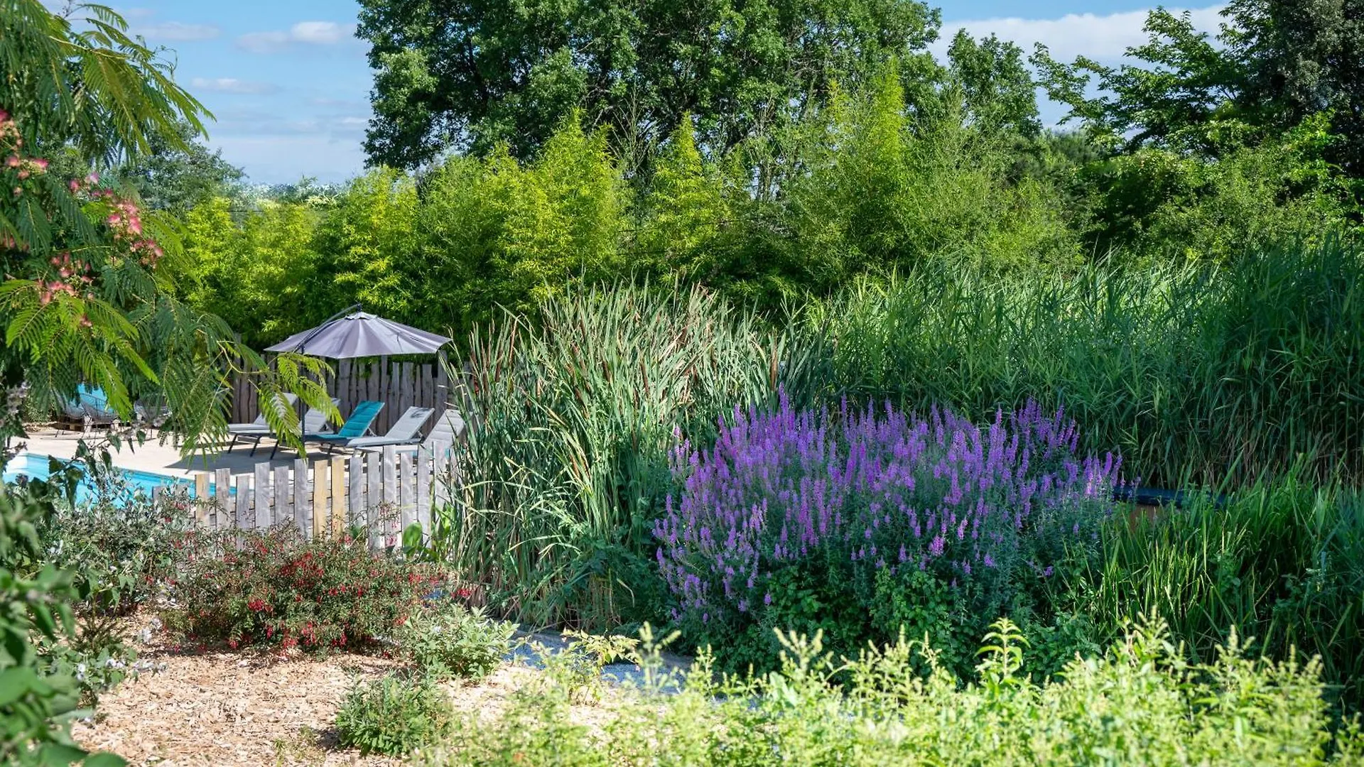 L Escapade Nature Et Gourmande Gites, Chambres D'Hotes, Piscine, Spa Toulouse Colomiers Gers Frankreich